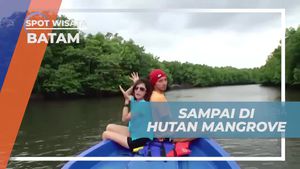 Menyusuri Hutan Mangrove dengan Speedboat di Batam dan Menikmati Keindahannya  