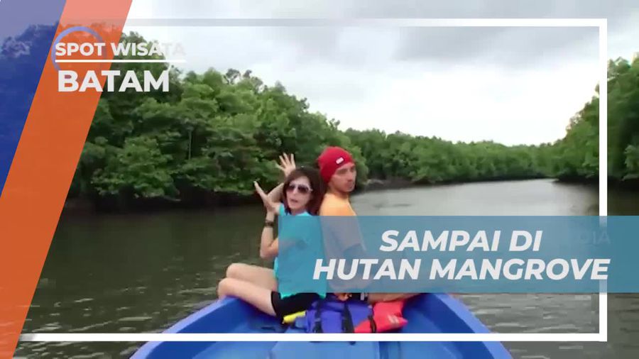 Menyusuri Hutan Mangrove dengan Speedboat di Batam dan Menikmati Keindahannya  
