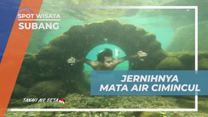 Menikmati Keindahan Alam dan Segarnya Mata Air Cimincul di Desa Cibuluh, Subang