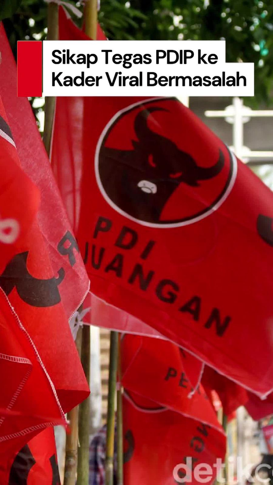 Video: Wanti-wanti PDIP ke Kader Lain Seusai Pecat Wahyudin Moridu
