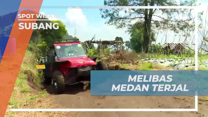 Melibas Jalur Terjal dengan Keseruan Berkendara Gokart di Subang