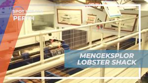 Eksplorasi Pengolahan Lobster di Lobster Shack, Perjalanan Menuju Kenikmatan di Perth  