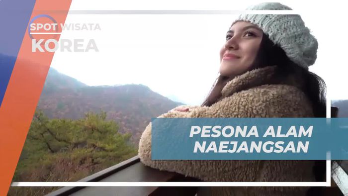 Mengagumi Keindahan Alam Naejangsang Bersama Selebriti di Korea