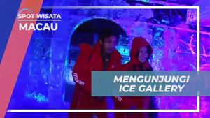 Jelajahi Keindahan Es di Ice Gallery Macau yang Membeku dan Menawan  