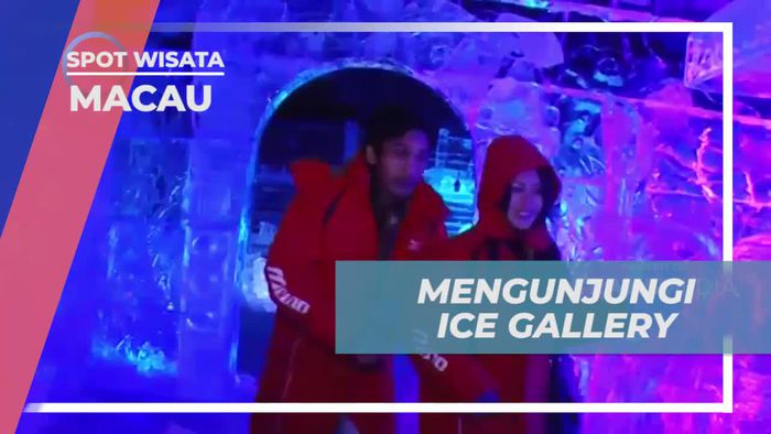 Jelajahi Keindahan Es di Ice Gallery Macau yang Membeku dan Menawan  