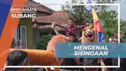 Menyelami Keindahan Sisingaan dan Menyambut Tradisi di Desa Cibuluh, Subang  