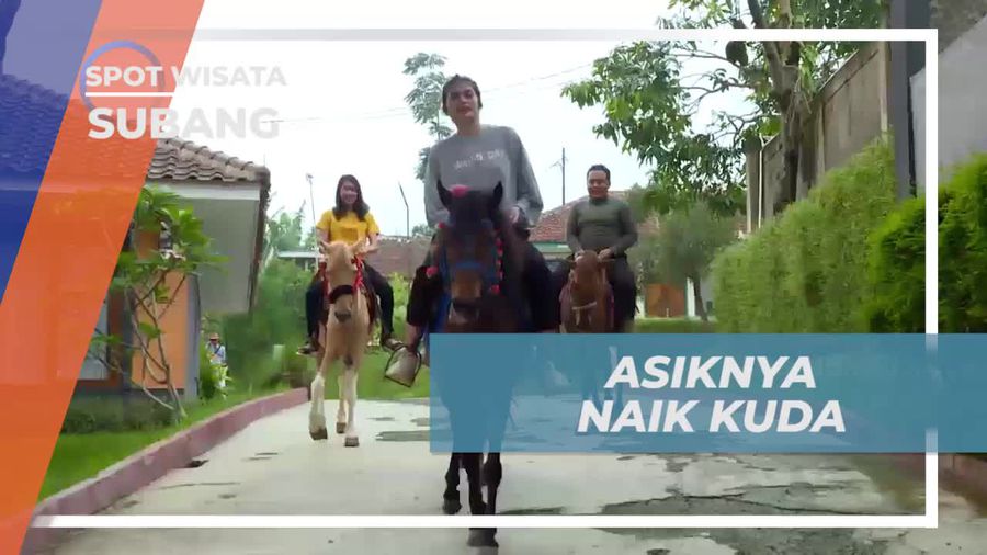 Berkuda di Tengah Pemandangan Alam Berkelas di Subang