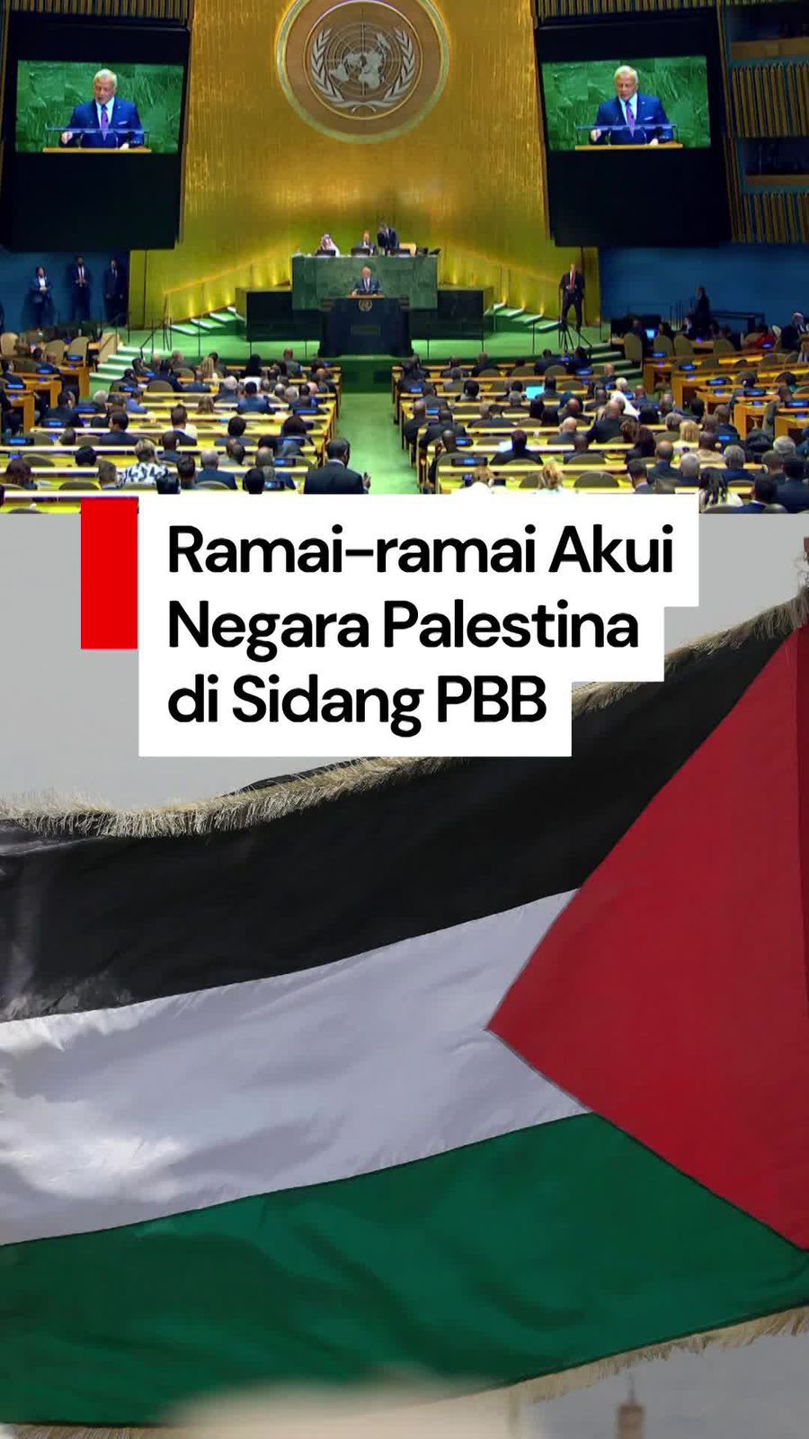 Video Dukungan Para Pemimpin Dunia untuk Negara Palestina di Sidang PBB