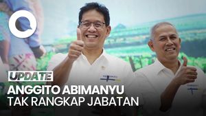 Video Purbaya soal Anggito Jadi Ketua LPS: Otomatis Mundur dari Wamenkeu