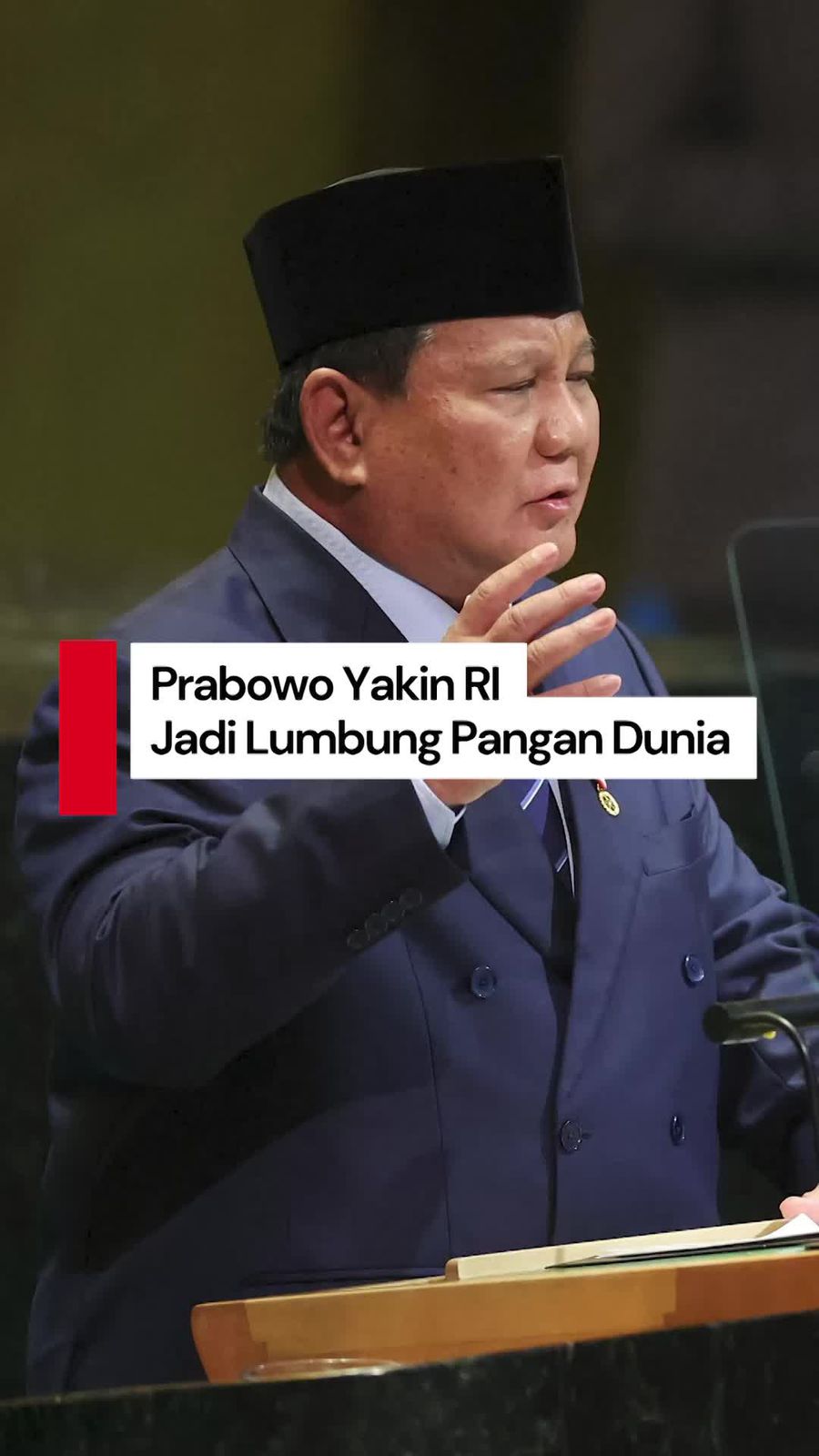 Video: Di Sidang PBB Prabowo Pamer RI Swasembada Beras