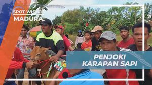 Mengungkap Rahasia Para Joki Cilik yang Gagah di Madura