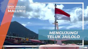 Mengenal Keindahan Budaya di Teluk Jailolo, Maluku