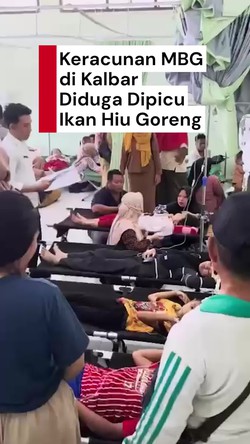 Video: 25 Orang di Kalbar Keracunan MBG Seusai Santap Ikan Hiu Goreng