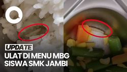 Video: Heboh Ada Ulat di Nasi-Menu MBG Siswa SMK Jambi