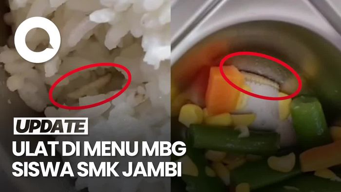 Video: Heboh Ada Ulat di Nasi-Menu MBG Siswa SMK Jambi