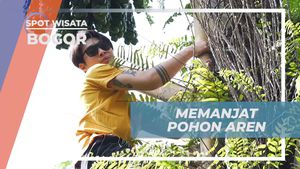 Mencoba Tantangan Memanjat Pohon Aren di Bogor