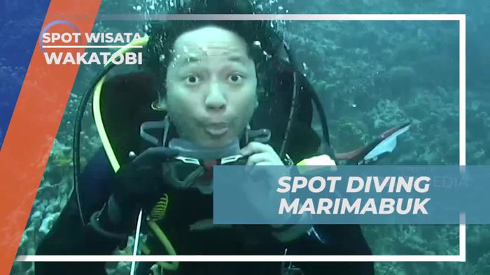 Menemukan Spot Diving Indah di Marimabuk, Wakatobi
