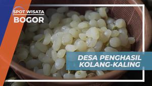 Menggali Potensi Desa Penghasil Kolang-Kaling di Bogor 