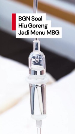 Video: Menu MBG Ikan Hiu Goreng Diduga Bikin Keracunan, Ini Kata BGN