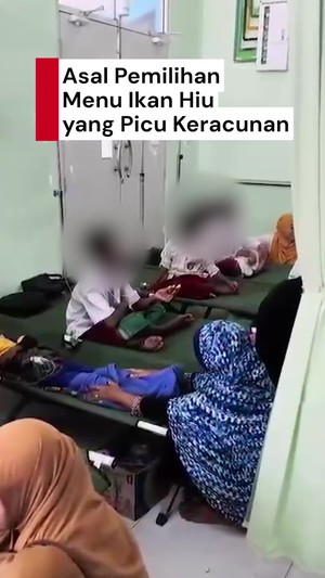 Video: Menu Ikan Hiu di Kasus Keracunan MBG Kalbar Rekomendasi Ahli Gizi