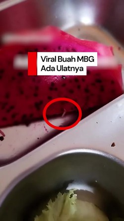 Video: Viral Buah di Menu MBG SDN Lubuklinggau Ada Ulatnya