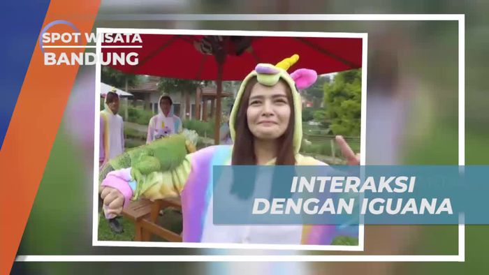 Berinteraksi Seru dengan Iguana di Happy Farm yang Mengasyikkan di Bandung