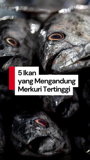 Video: Kenali 5 Ikan yang Tinggi Kandungan Merkuri, Ada Hiu