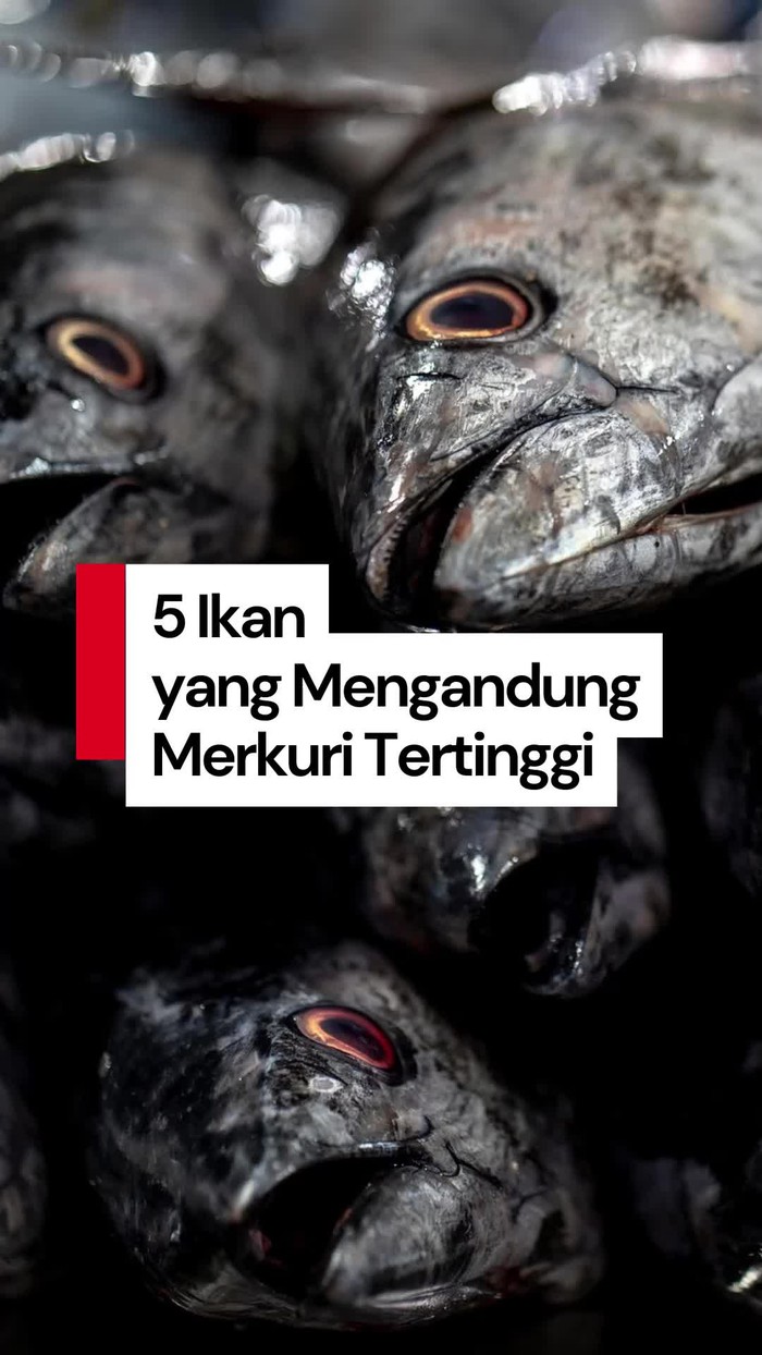 Video: Kenali 5 Ikan yang Tinggi Kandungan Merkuri