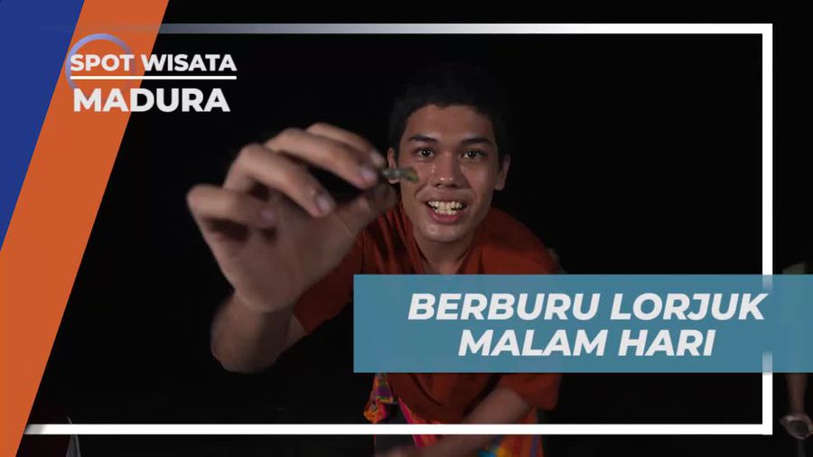 Bergabung dalam Petualangan Berburu Lorjuk di Malam Hari di Madura