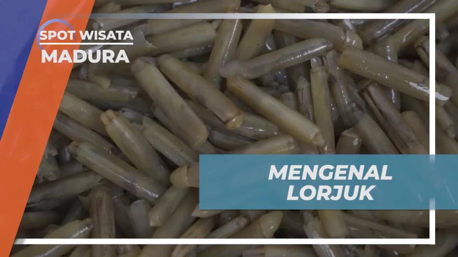 Temukan Keberadaan Lorjuk, Kerang Bambu Favorit Warga Madura di Pantai