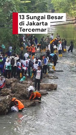 Video: Menteri LH Sebut 13 Sungai Besar di Jakarta Tercemar Ringan-Berat