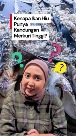 Video Biomagnifikasi, Alasan Ikan Hiu Punya Kandungan Merkuri Tinggi