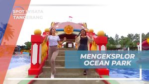 Menguji Adrenalin Di Ocean Park BSD, Tangerang