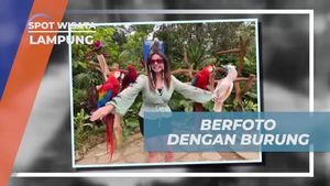 Berfoto dan Menikmati Keindahan Burung Berwarna di Lampung