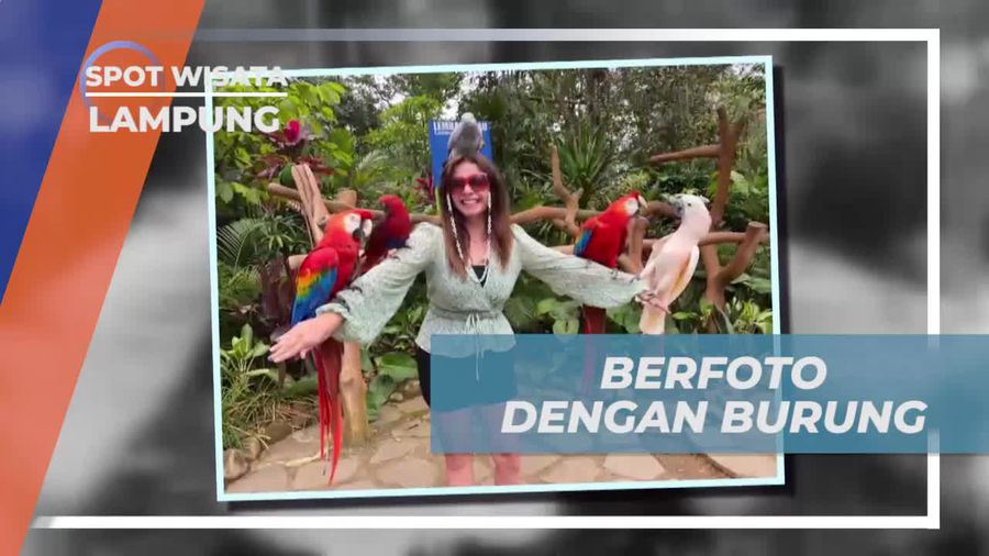 Berfoto dan Menikmati Keindahan Burung Berwarna di Lampung