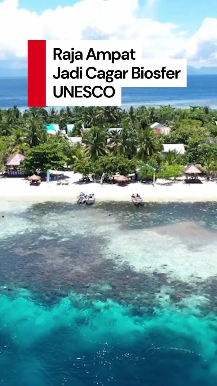 Video: Raja Ampat Ditetapkan Jadi Cagar Biosfer oleh UNESCO