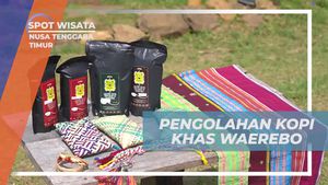 Mengikuti Proses Pengolahan Kopi Tradisional di Desa Waerebo, Nusa Tenggara Timur
