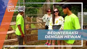 Berinteraksi dan Memberi Makan Satwa di Taman Wisata Taman Satwa Lampung