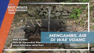 Mengambil Air di Mata Air Wae Voang dan Melihat Kehidupan Sehari-Hari Warga Desa Waerebo, Nusa Tenggara Timur