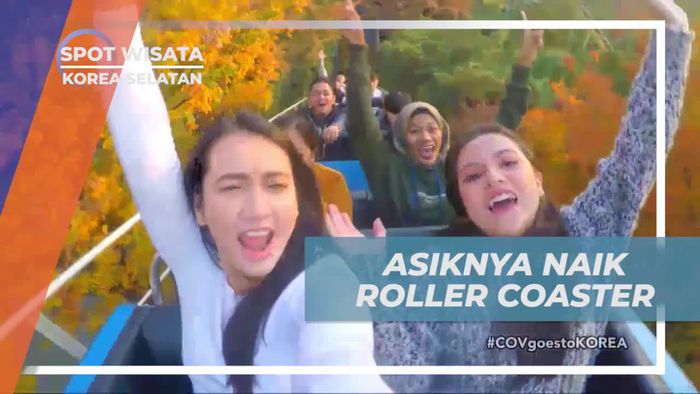 Merasakan Asiknya Naik Roller Coaster di Daegu, Korea Selatan