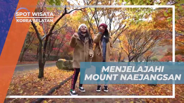 Menjelajahi Mount Naejangsan di Korea Selatan