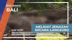 Menyaksikan Jenazah Langsung di Terunyan, Bali