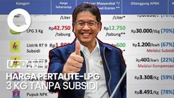 Video: Menkeu Purbaya Beberkan Harga Asli Pertalite-LPG 3 Kg Tanpa Subsidi