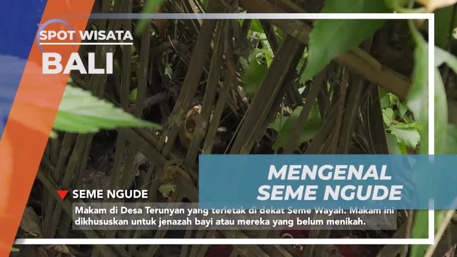 Mengenal Seme Ngude di Terunyan, Bali