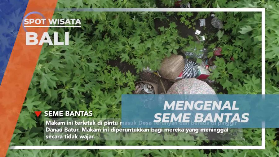 Mengenal Seme Bantas di Terunyan, Bali