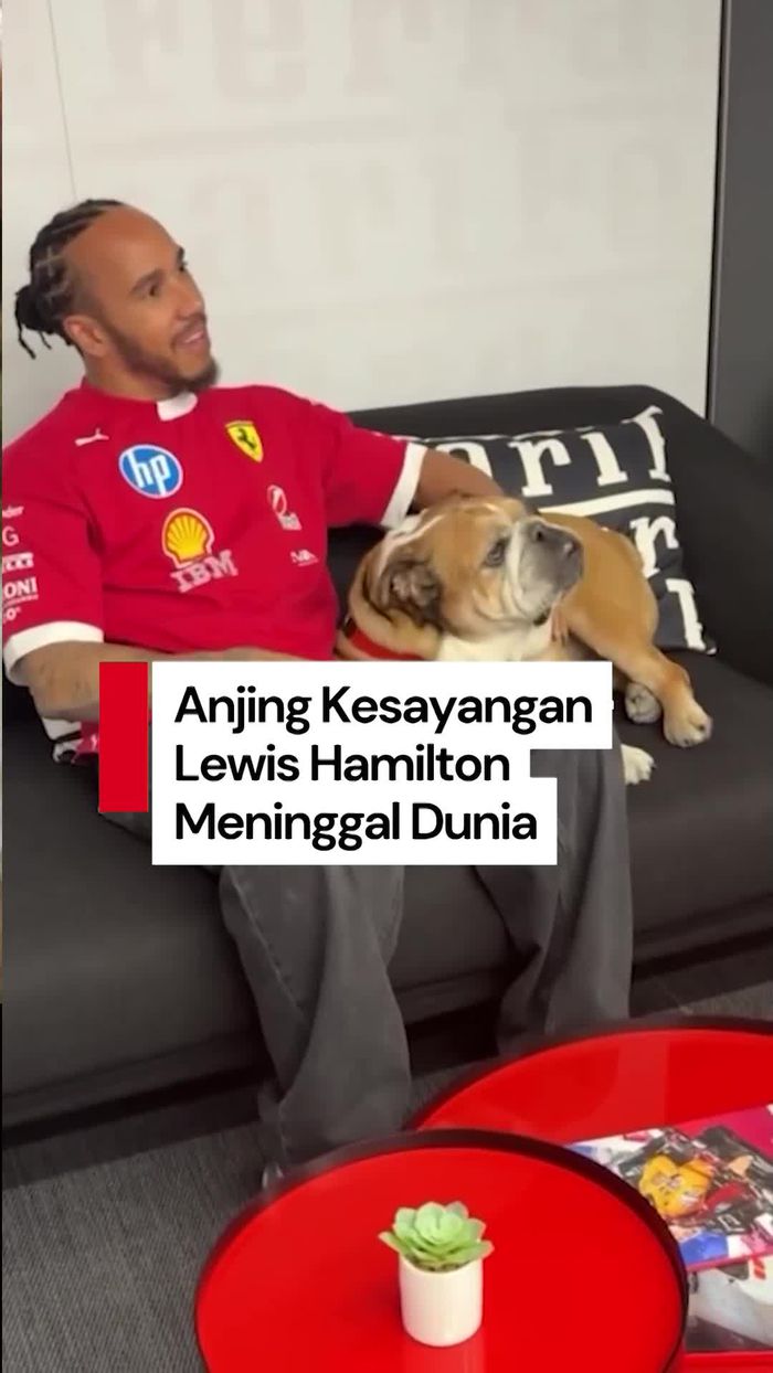 Video: Hamilton Umumkan Kepergian Anjing Kesayangannya, Roscoe