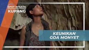 Menemukan Keunikan Goa Monyet di Kupang