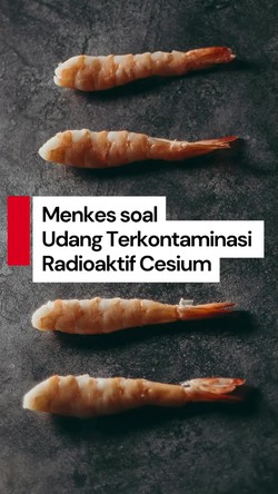  Video: Kata Menkes soal Udang Terkontaminasi Radioaktif Cesium-137 di Cikande