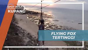 Mencoba Flying Fox Tertinggi di Kupang