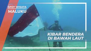 Mengibarkan Bendera di Bawah Laut Morotai, Maluku
